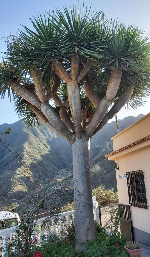 Casa Noni Villa Santa Cruz de Tenerife Eksteriør billede